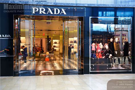 prada com canada|can you buy prada online.